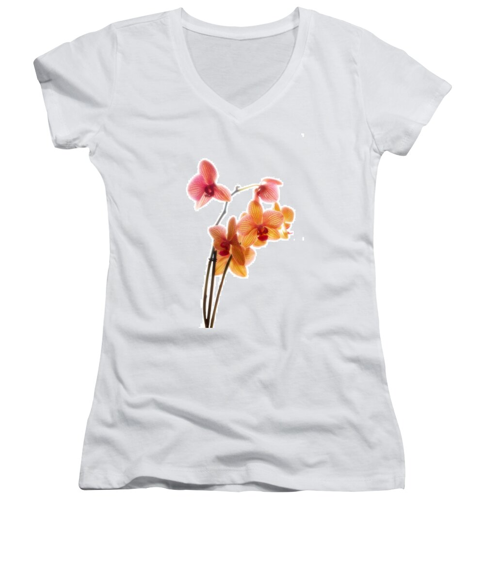 Orchids Women's V-Neck featuring the photograph Orchids by Mark Alder