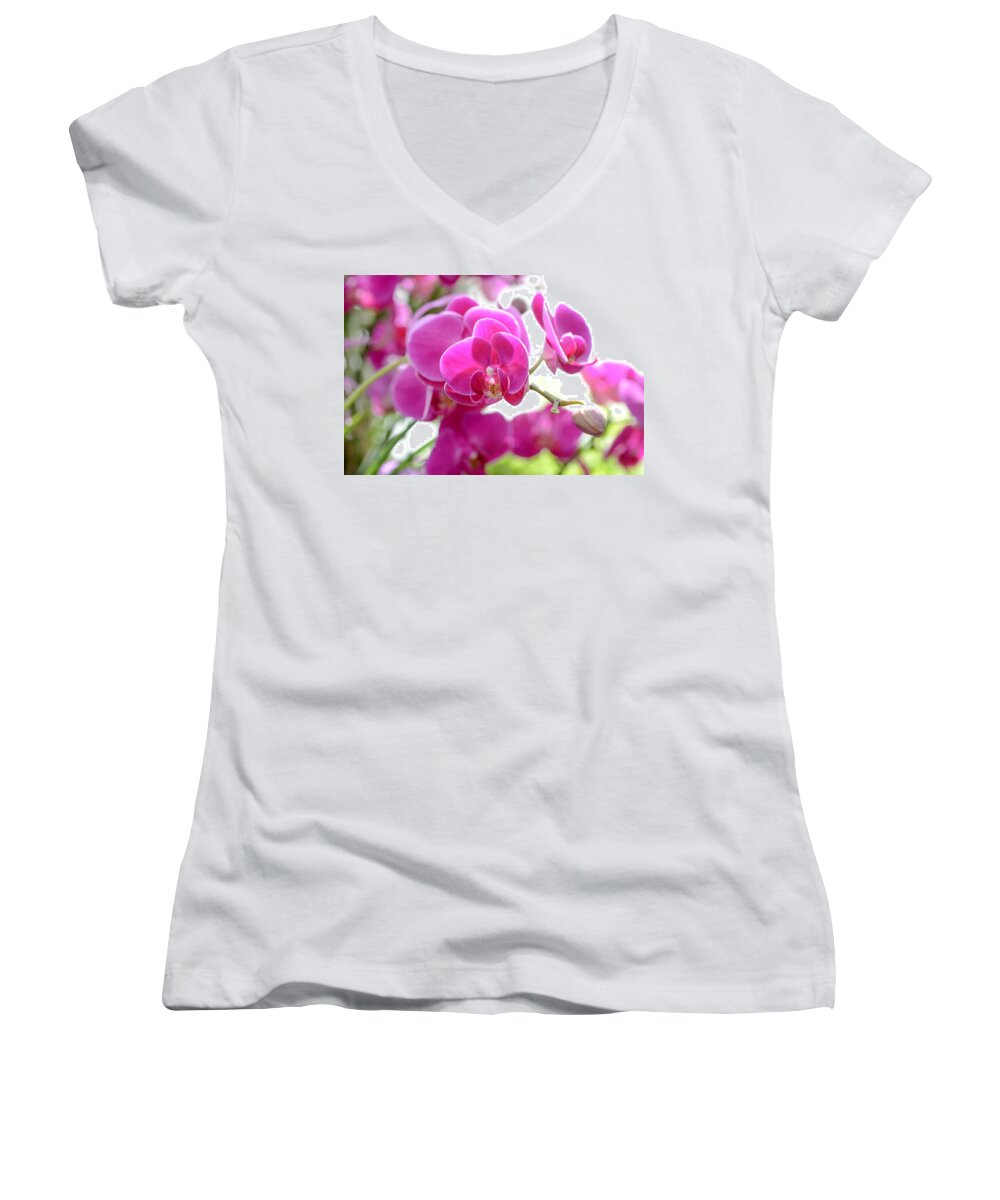 City Women's V-Neck featuring the photograph Orchids by Ronda Broatch