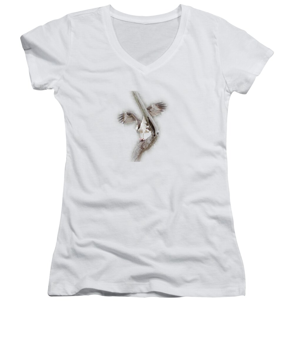 Bird Women's V-Neck featuring the photograph Osprey Tee-shirt by Donna Brown