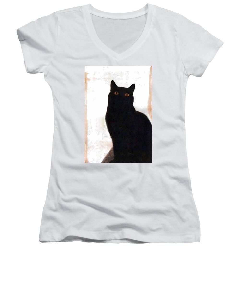 Cats Women's V-Neck featuring the photograph Panther the British Shorthair Cat by Judy Kennedy