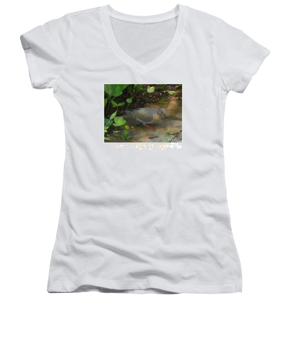 Single Pigeon Women's V-Neck featuring the photograph Pigeon Poster by Felipe Adan Lerma