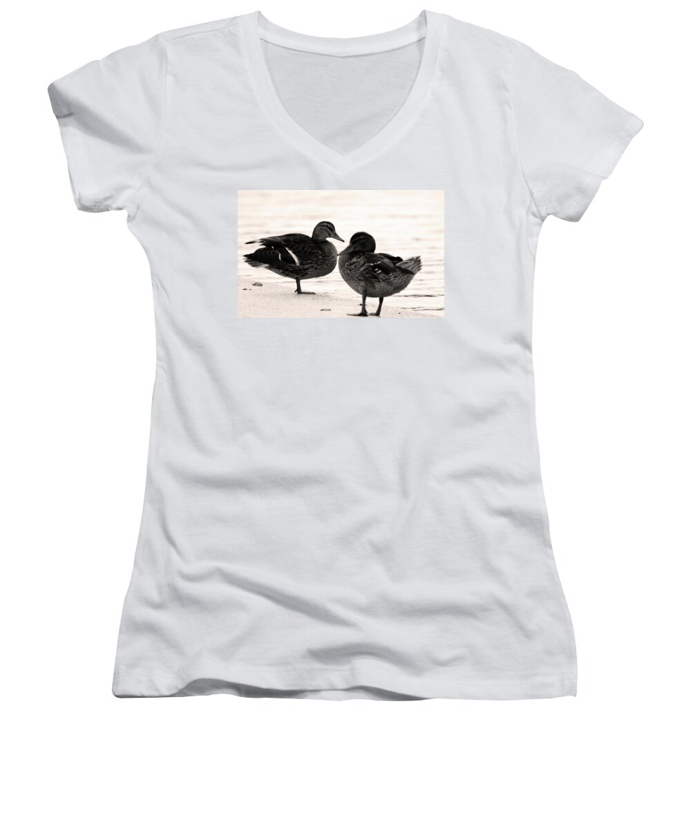 Waterfowl Women's V-Neck featuring the photograph Posing by La Dolce Vita
