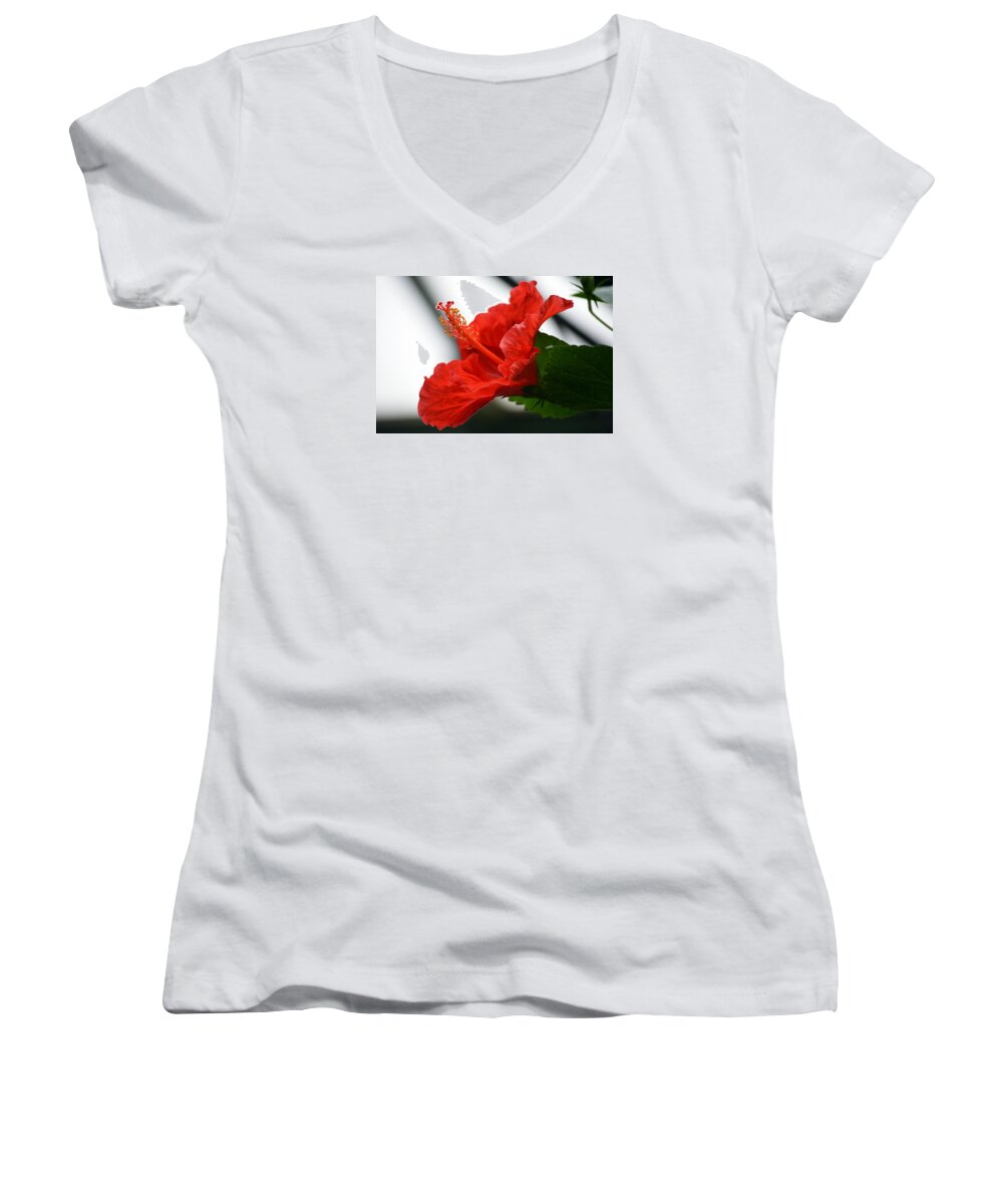 Hibiscus Women's V-Neck featuring the photograph Red Hot hibiscus. by Terence Davis