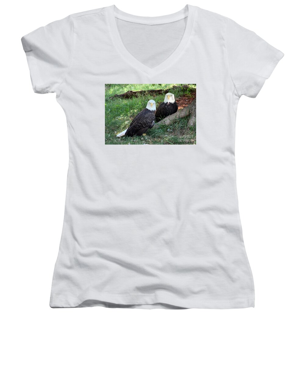 Nature Women's V-Neck featuring the photograph Resting Bald Eagles by Sheila Brown