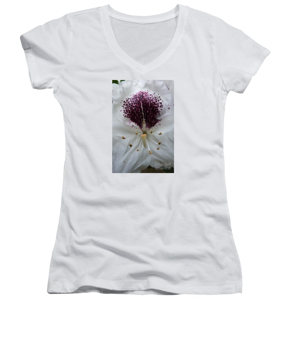 Bloom Women's V-Neck featuring the photograph Rhododendron 2 by Jean Bernard Roussilhe