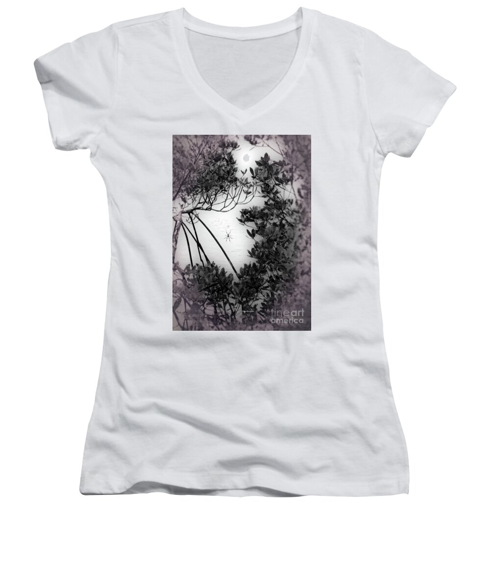 Banana River Women's V-Neck featuring the photograph Romantic Spider by Megan Dirsa-DuBois