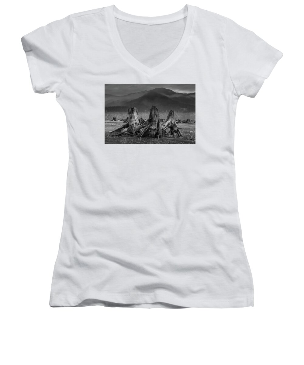 Conservation Women's V-Neck featuring the photograph Roots by Scott Slone