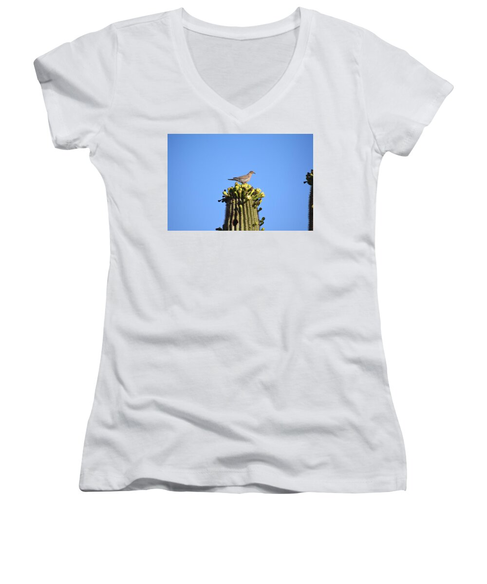 Saguaro Women's V-Neck featuring the photograph Saguaro Dove 1 by Nina Kindred