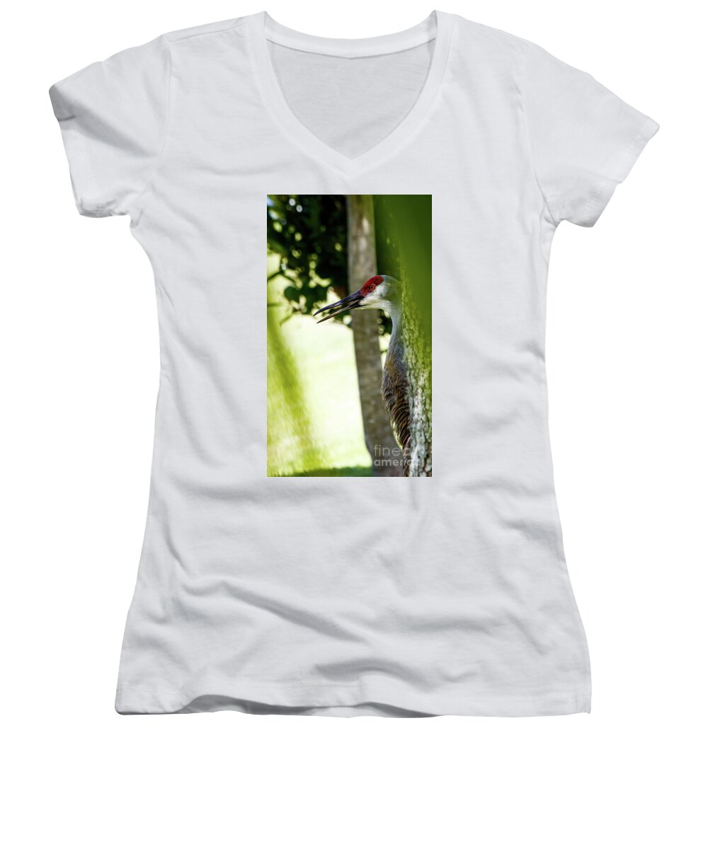 Crane Women's V-Neck featuring the photograph Sandhill Crane by Les Greenwood