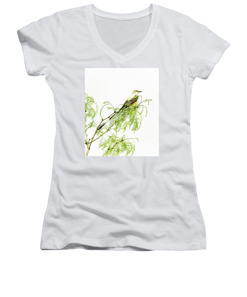 Animal Women's V-Neck featuring the photograph Scissortail On Mesquite by Robert Frederick