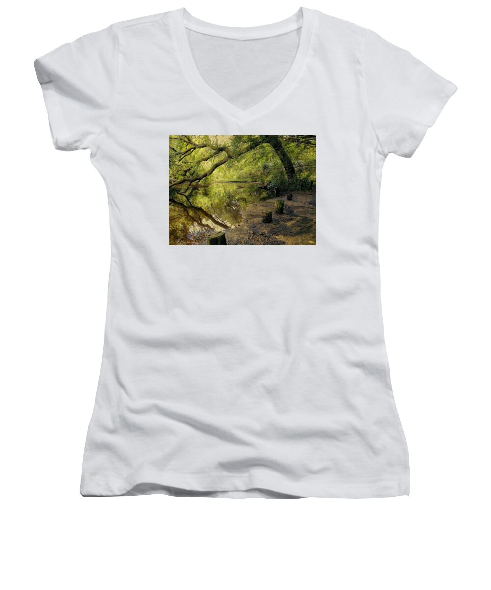 Swamp Women's V-Neck featuring the photograph Secluded Sanctuary by Sherry Kuhlkin