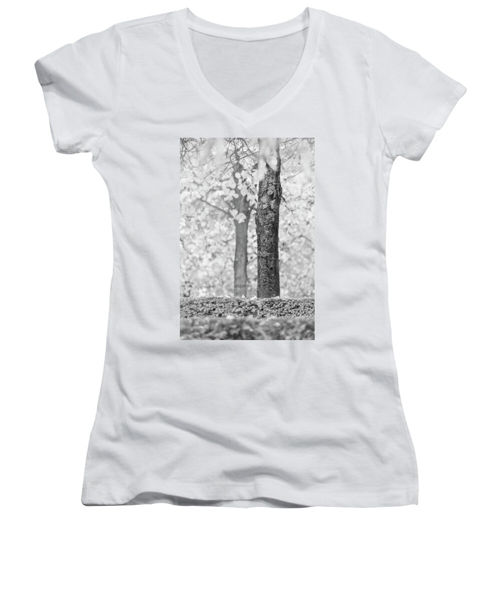 Tree Women's V-Neck featuring the photograph Separate by Hitendra SINKAR