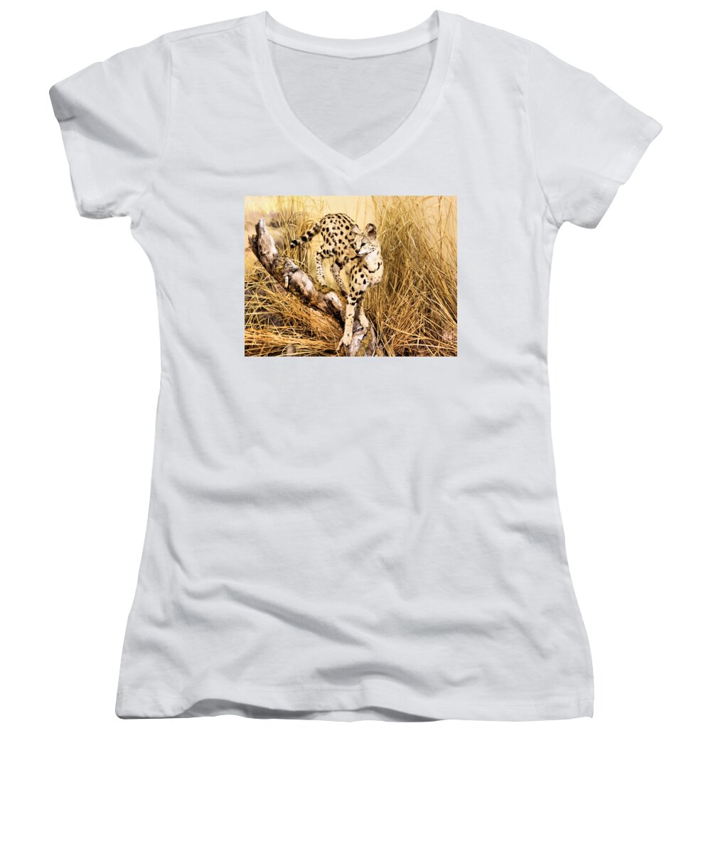 Serval Women's V-Neck featuring the photograph Serval by Kristin Elmquist