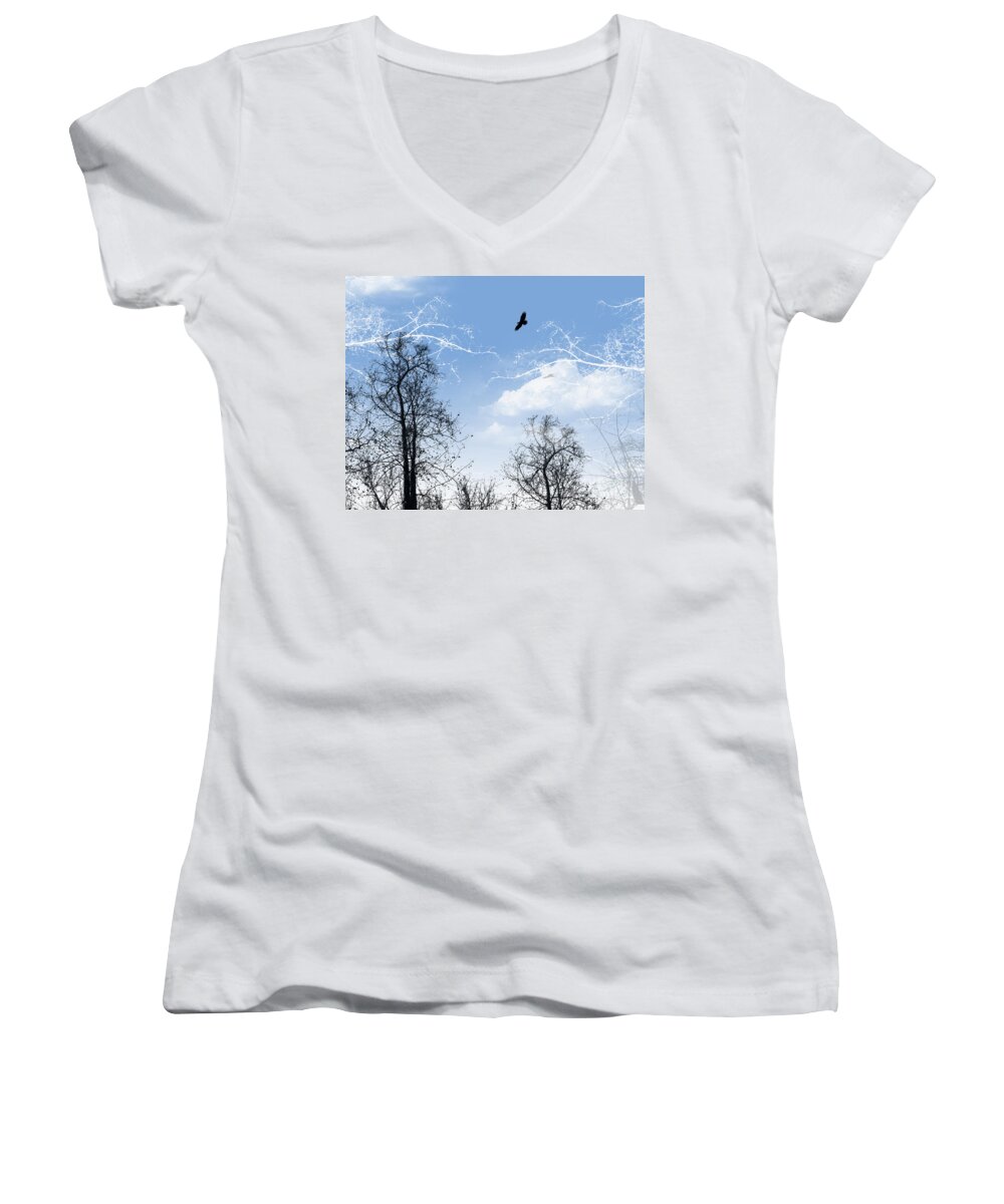 Flight Women's V-Neck featuring the painting Shadow by Trilby Cole