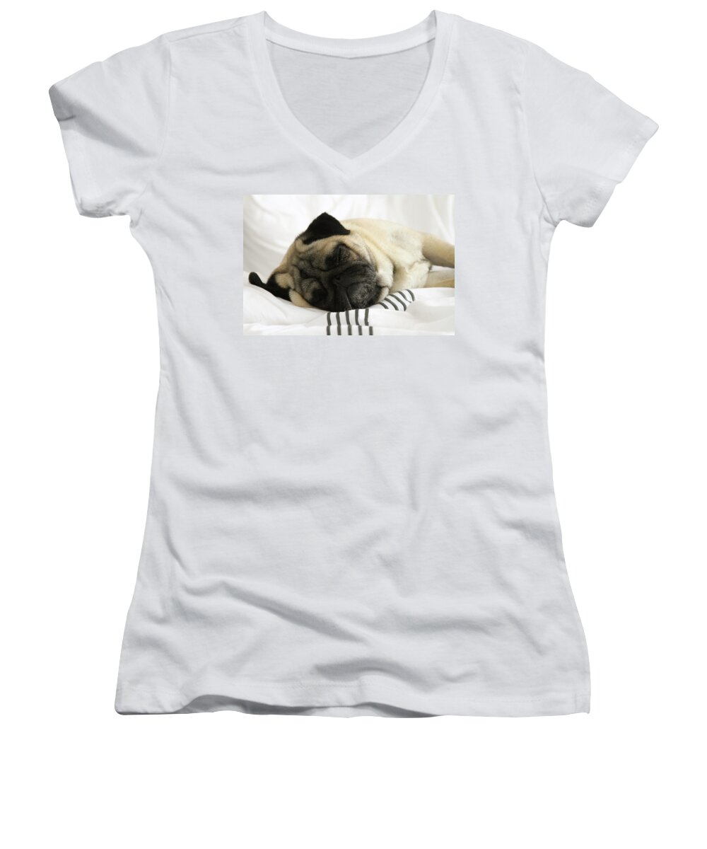 Pug Women's V-Neck featuring the photograph Sleeping Pug by Jackson Pearson