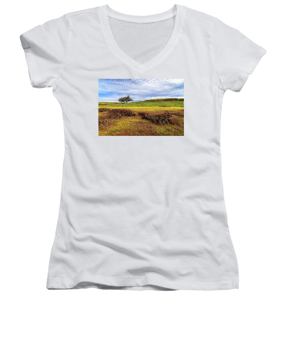 Lava Rock Women's V-Neck featuring the photograph Spring On North Table Mountain by James Eddy