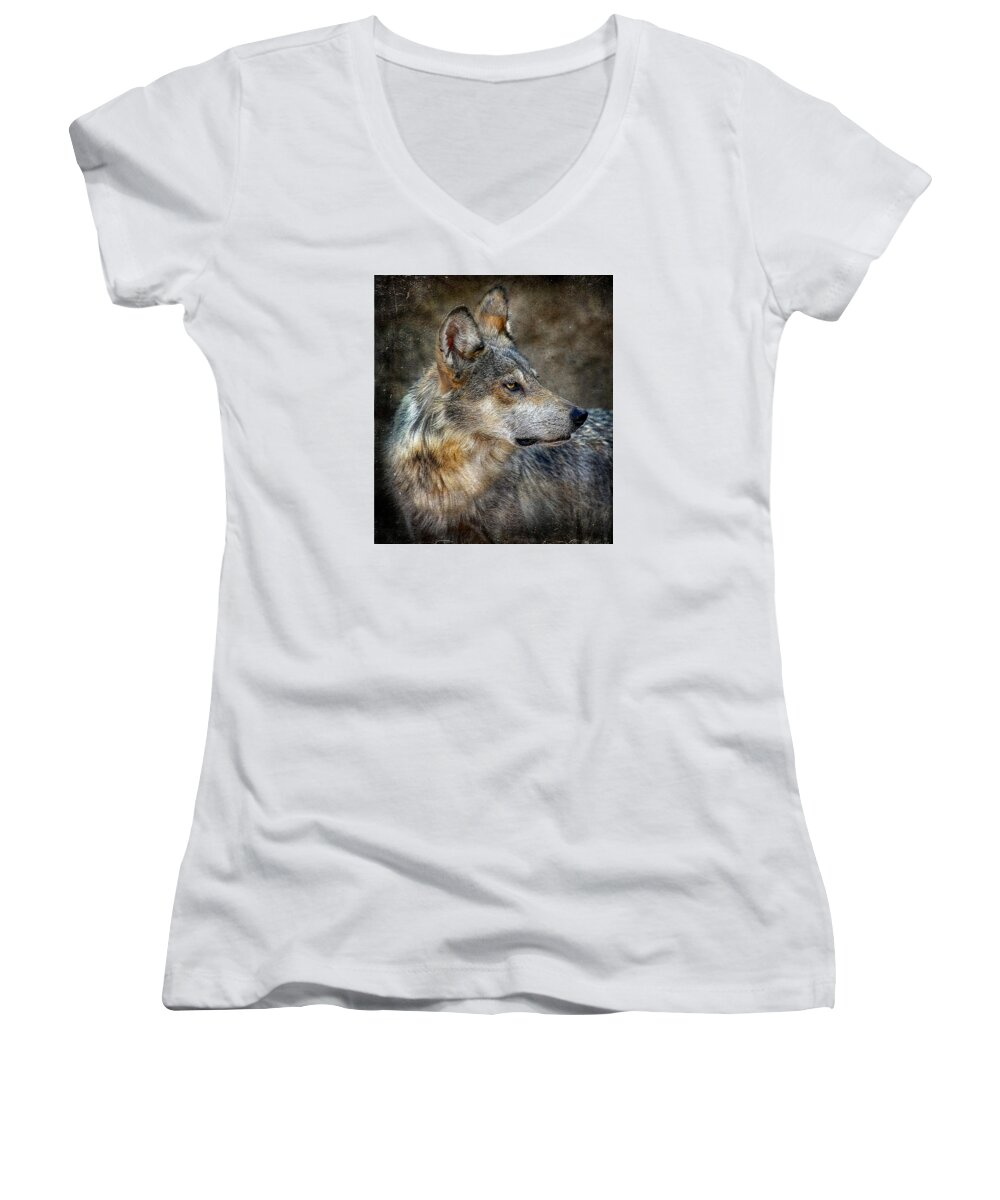 Wolf Women's V-Neck featuring the mixed media Summertime Coated Wolf by Elaine Malott