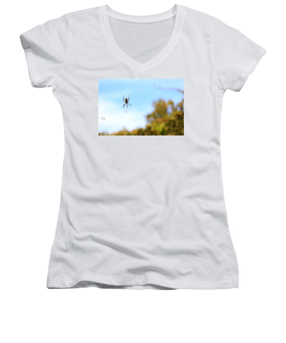 Arachnid Women's V-Neck featuring the photograph Suspended Spider by Travis Rogers