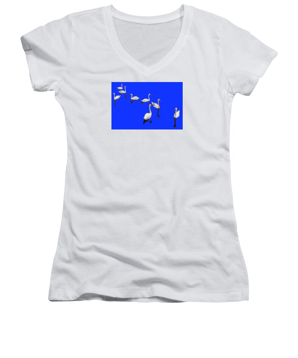Background Blue Women's V-Neck featuring the photograph Swan Family On Blue by Constantine Gregory