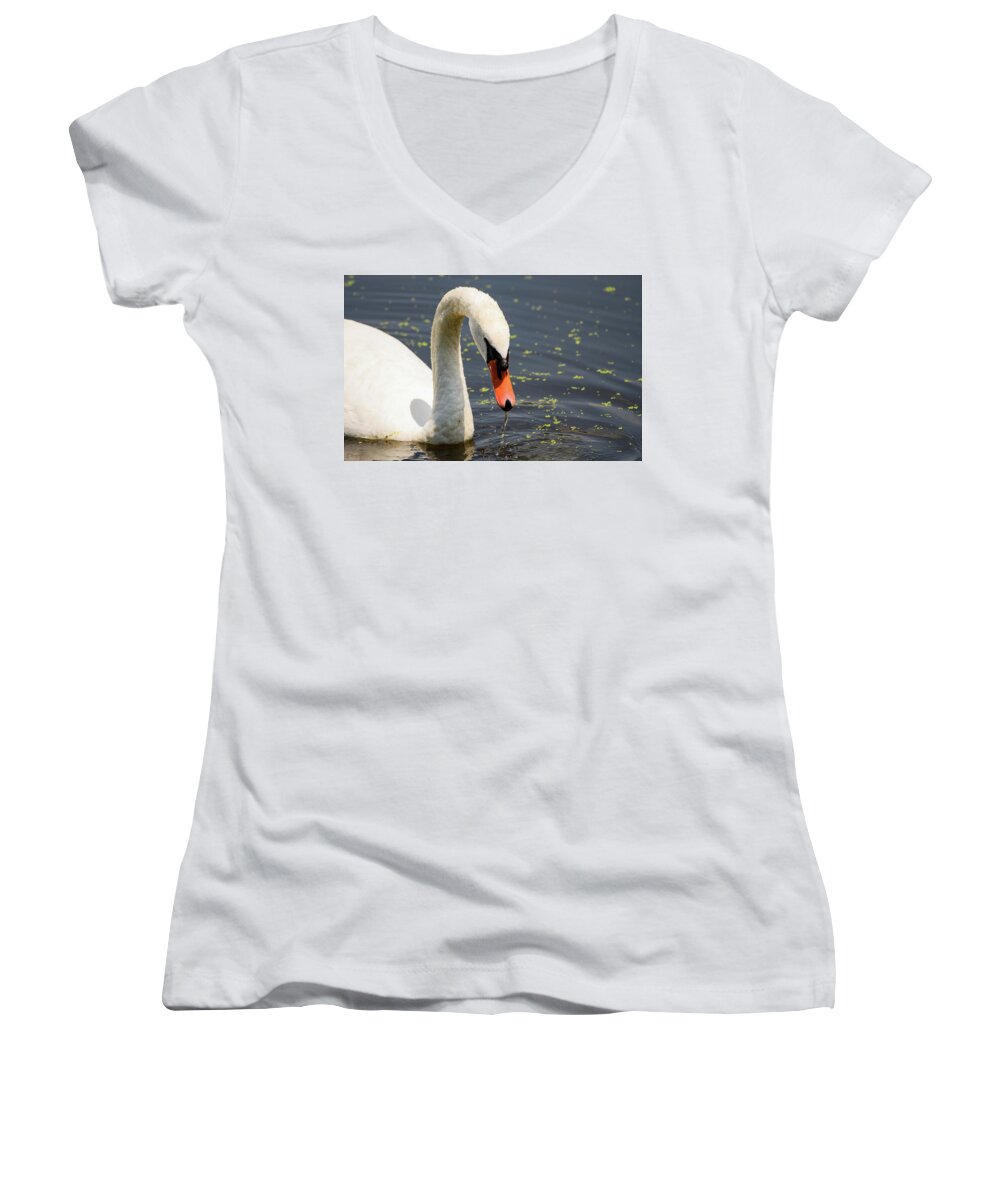 Beautiful Women's V-Neck featuring the photograph Swan Portrait by Sam Rino