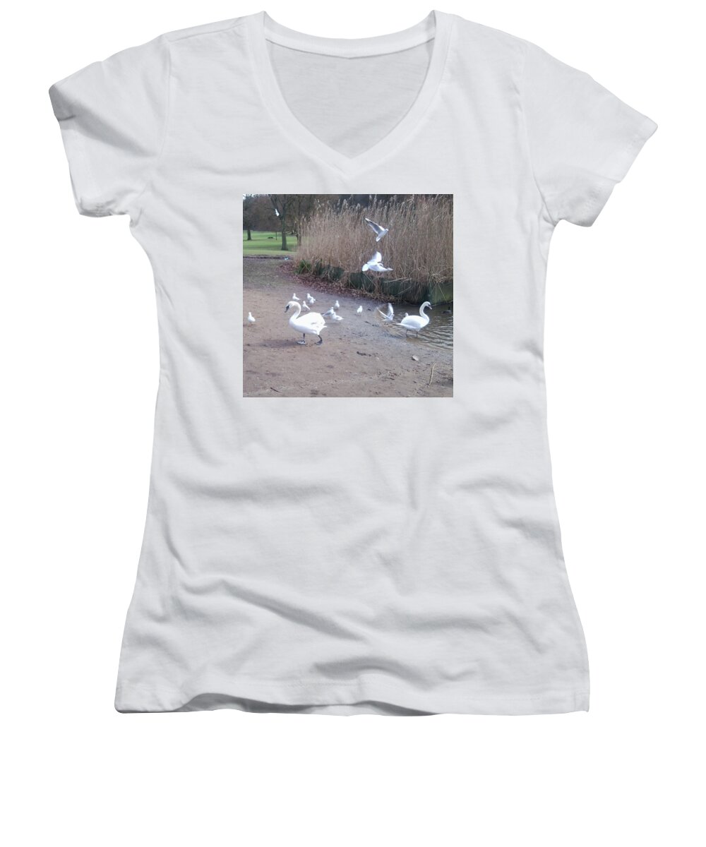 Swan Women's V-Neck featuring the photograph Swans 4 by Julia Woodman
