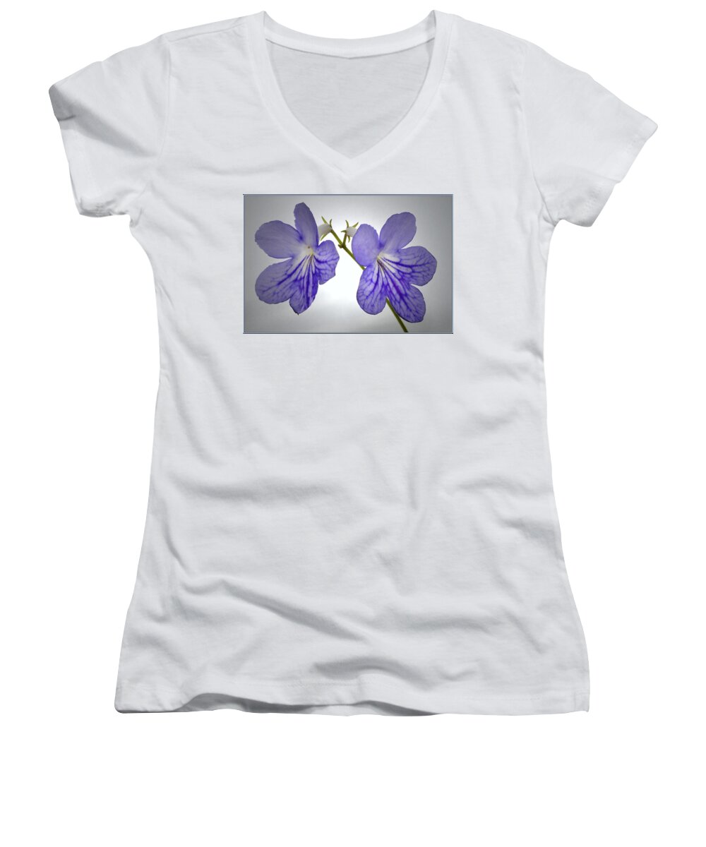 Streptocarpus Flowers Women's V-Neck featuring the photograph The Betham Twins. by Terence Davis