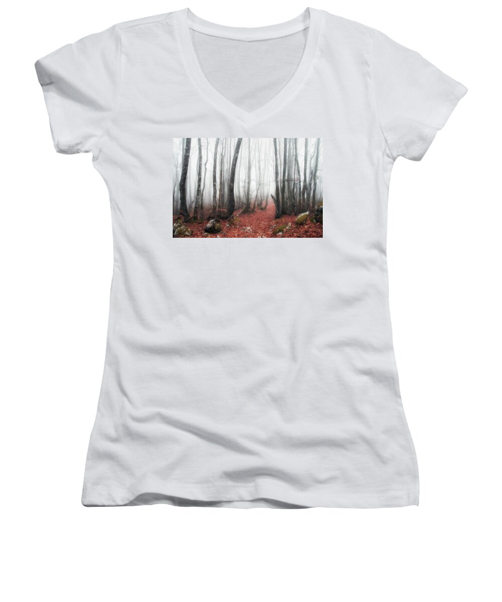 Forest Women's V-Neck featuring the photograph The corridor by Mikel Martinez de Osaba