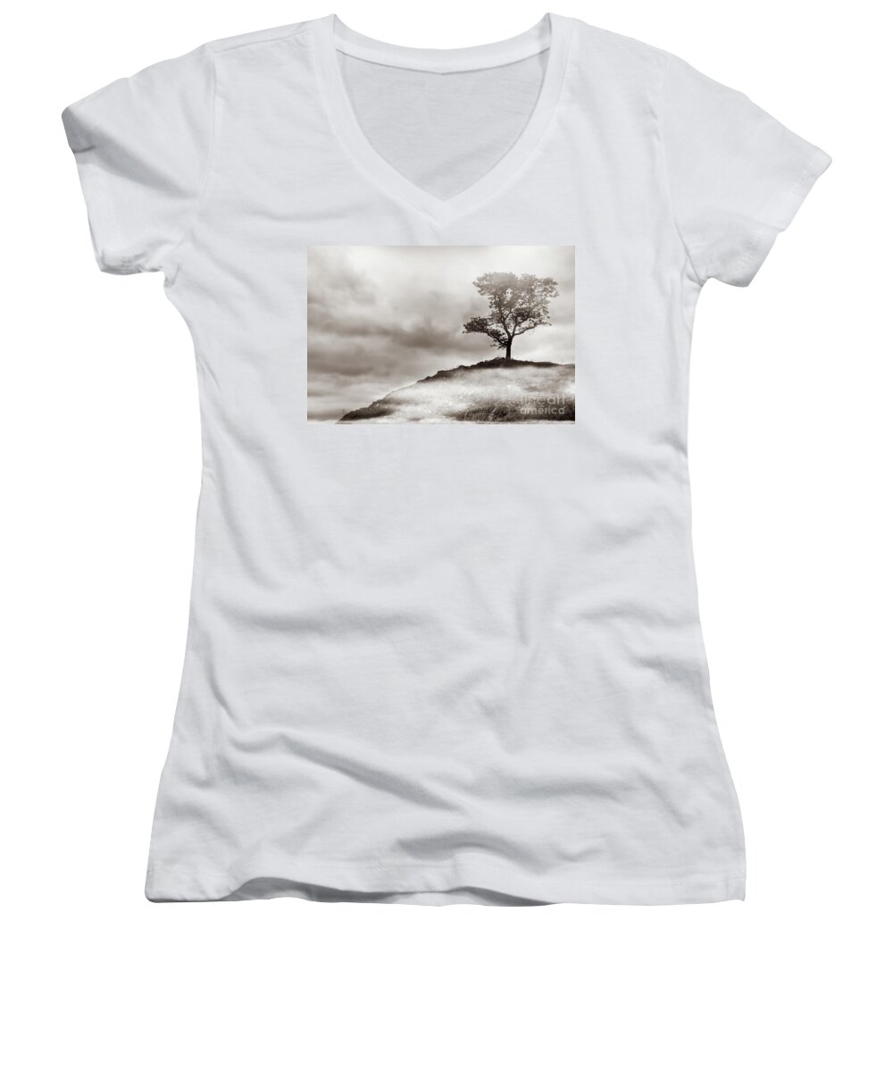 Tree Women's V-Neck featuring the photograph The Edge of Never by Dana DiPasquale