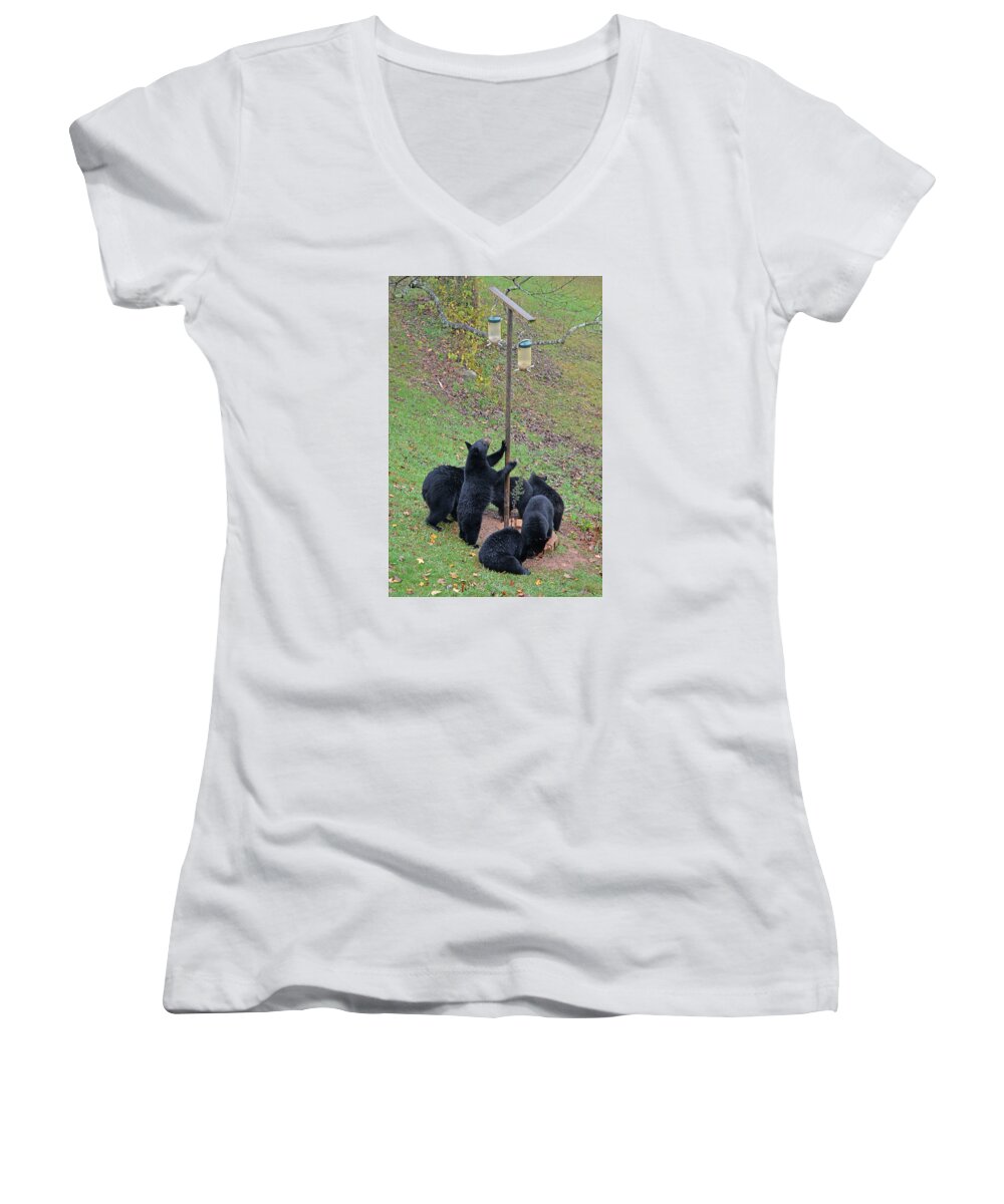 Mammal Women's V-Neck featuring the photograph The Gangs All Here by Alan Lenk