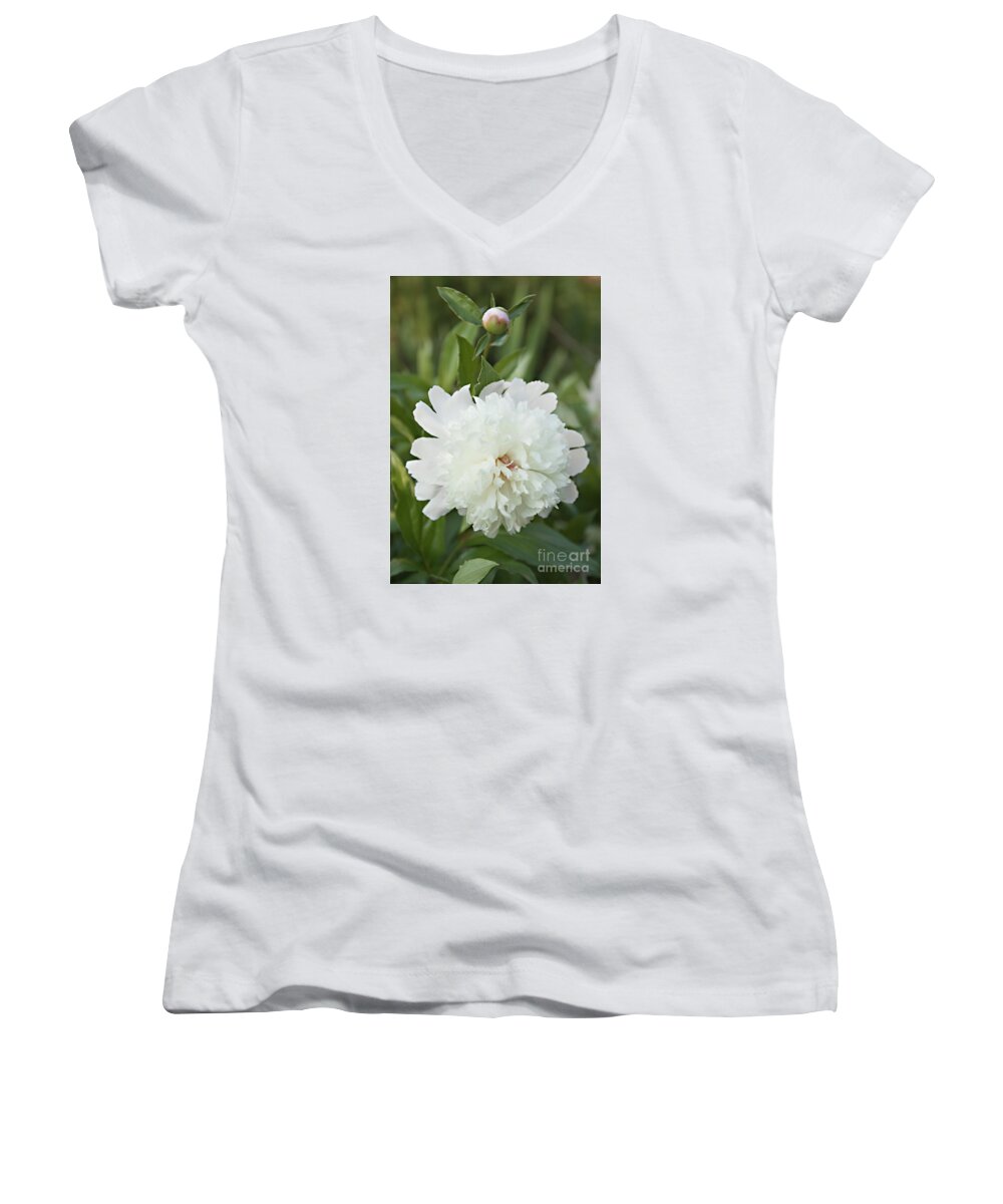 Bloom Women's V-Neck featuring the photograph The Next Bloom is Almost Ready by Sherry Hallemeier