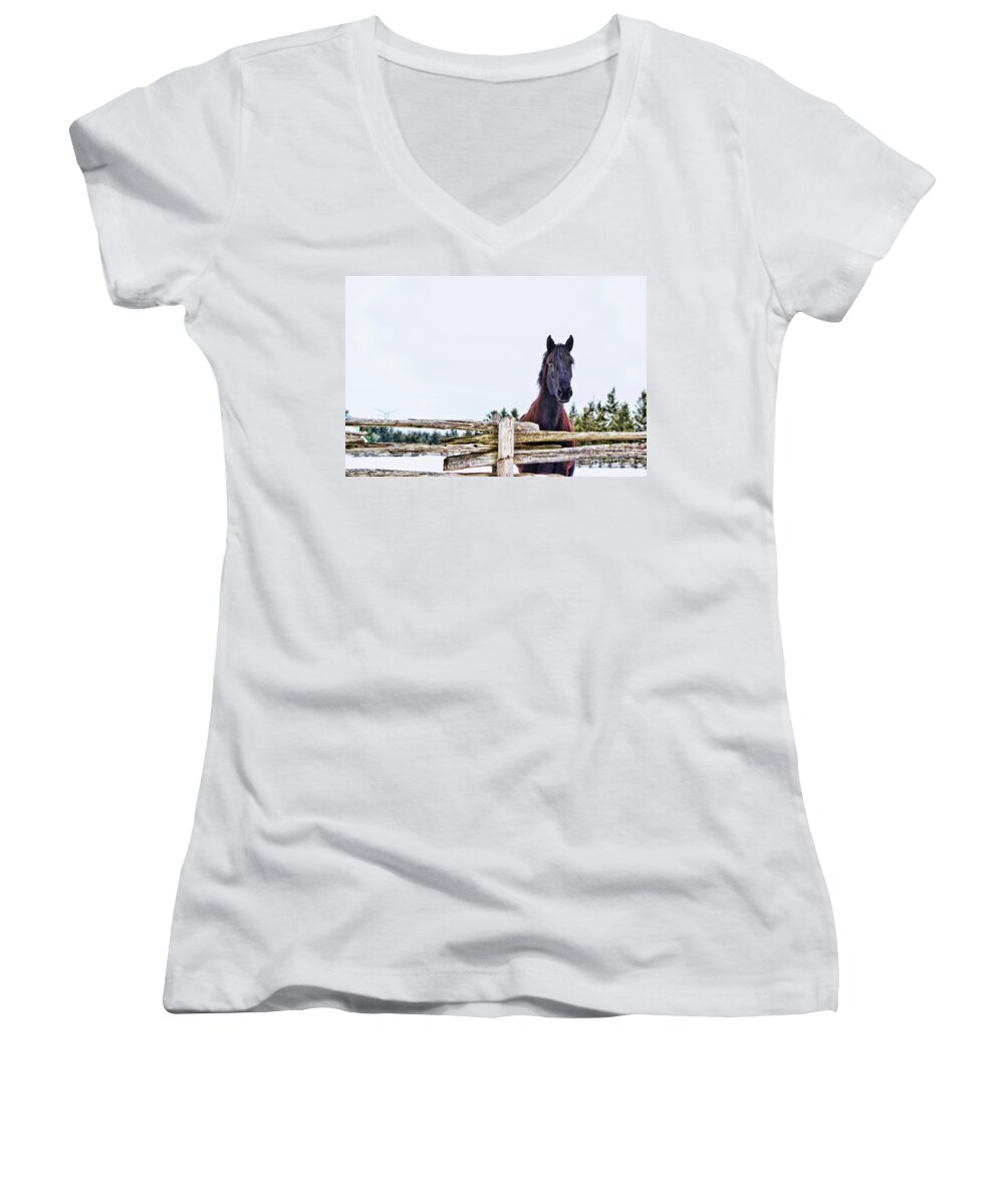 Horse Women's V-Neck featuring the photograph The Watcher 2 by Traci Cottingham