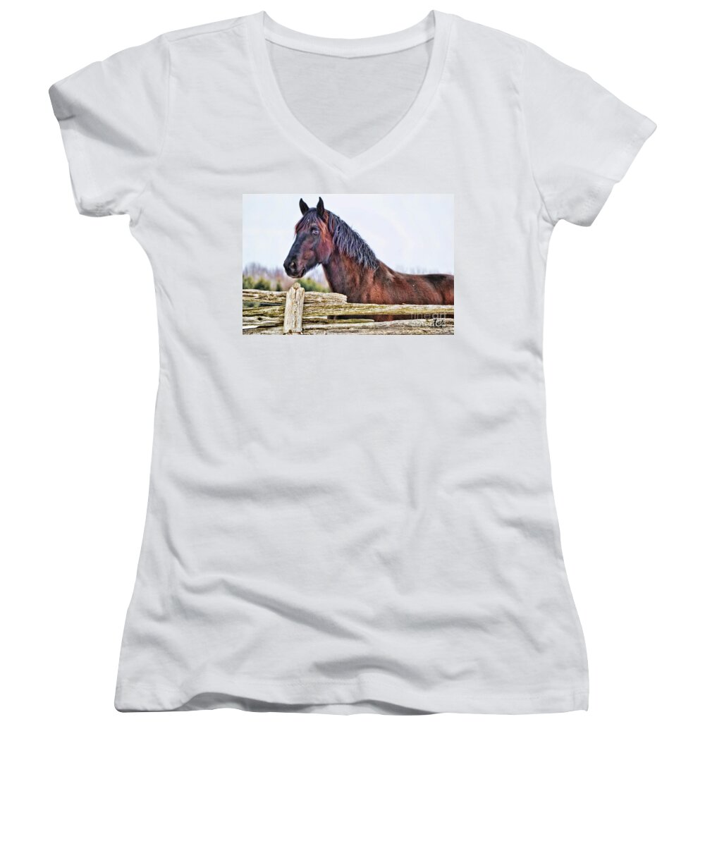Horse Women's V-Neck featuring the photograph The Watcher by Traci Cottingham