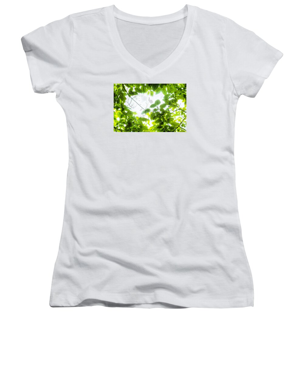 Leaves Women's V-Neck featuring the photograph Through the leaves by David Coblitz