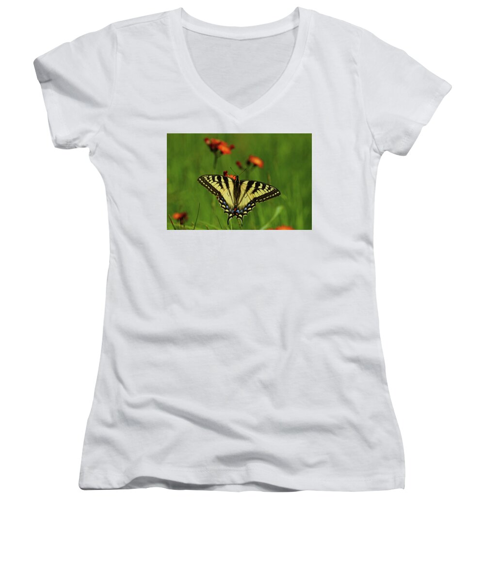 Tiger Women's V-Neck featuring the photograph Tiger Swallowtail Butterfly by Nancy Landry