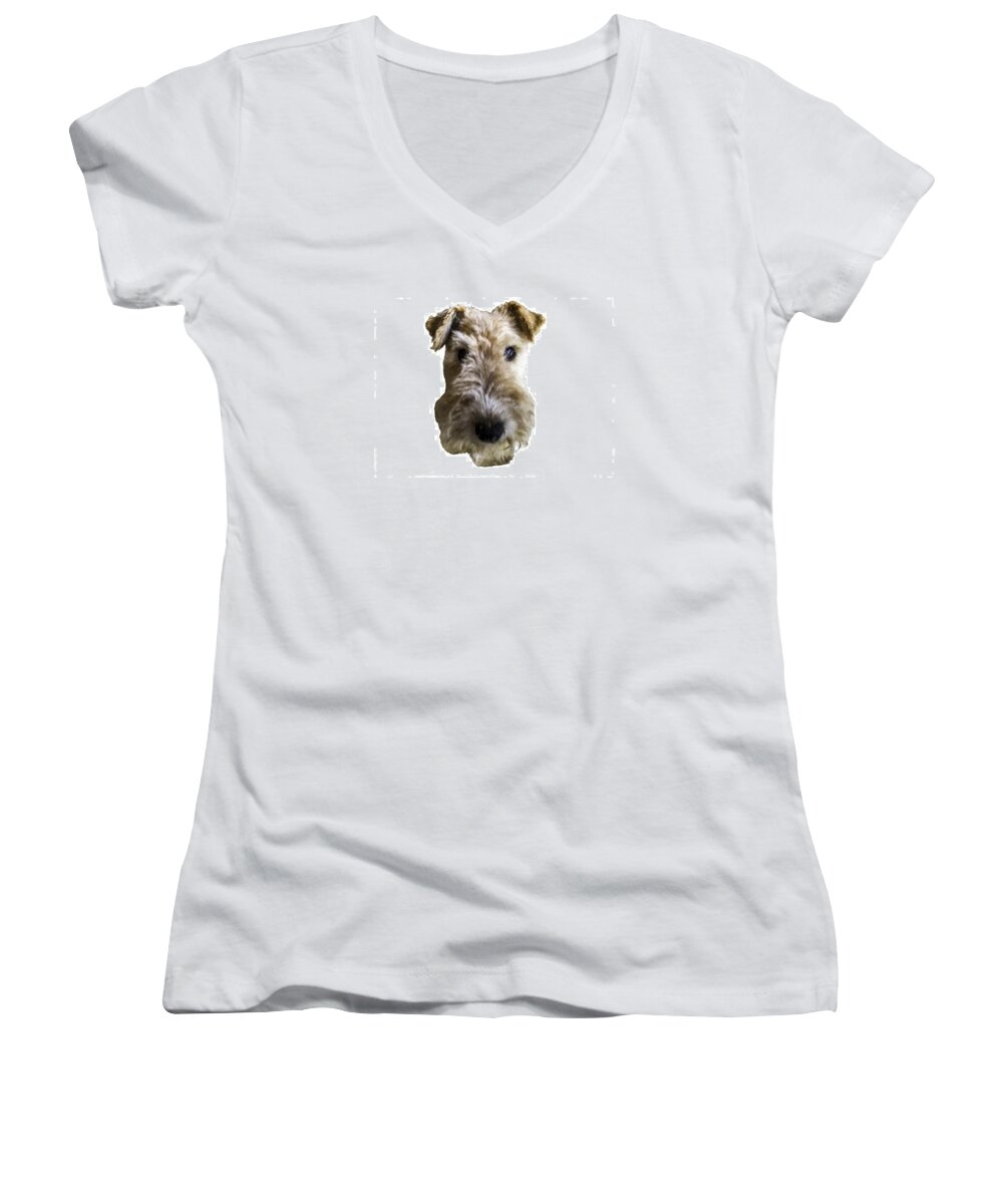 Dog Women's V-Neck featuring the photograph Tipper the Fox Terrier by Charles Kraus