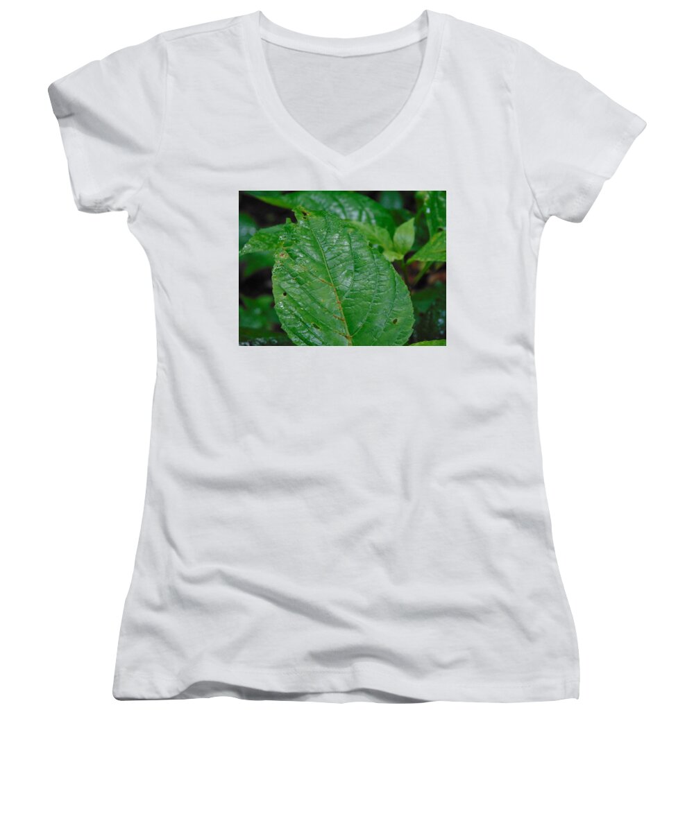 Landscape Women's V-Neck featuring the photograph Trail Vibes by Richie Parks