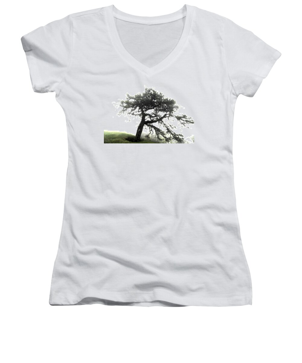 Hdr Women's V-Neck featuring the photograph Tree by Alex Grichenko