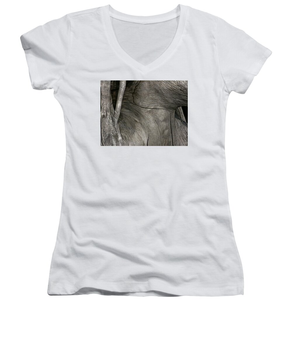 Trees Women's V-Neck featuring the photograph Tree Memories # 26 by Ed Hall