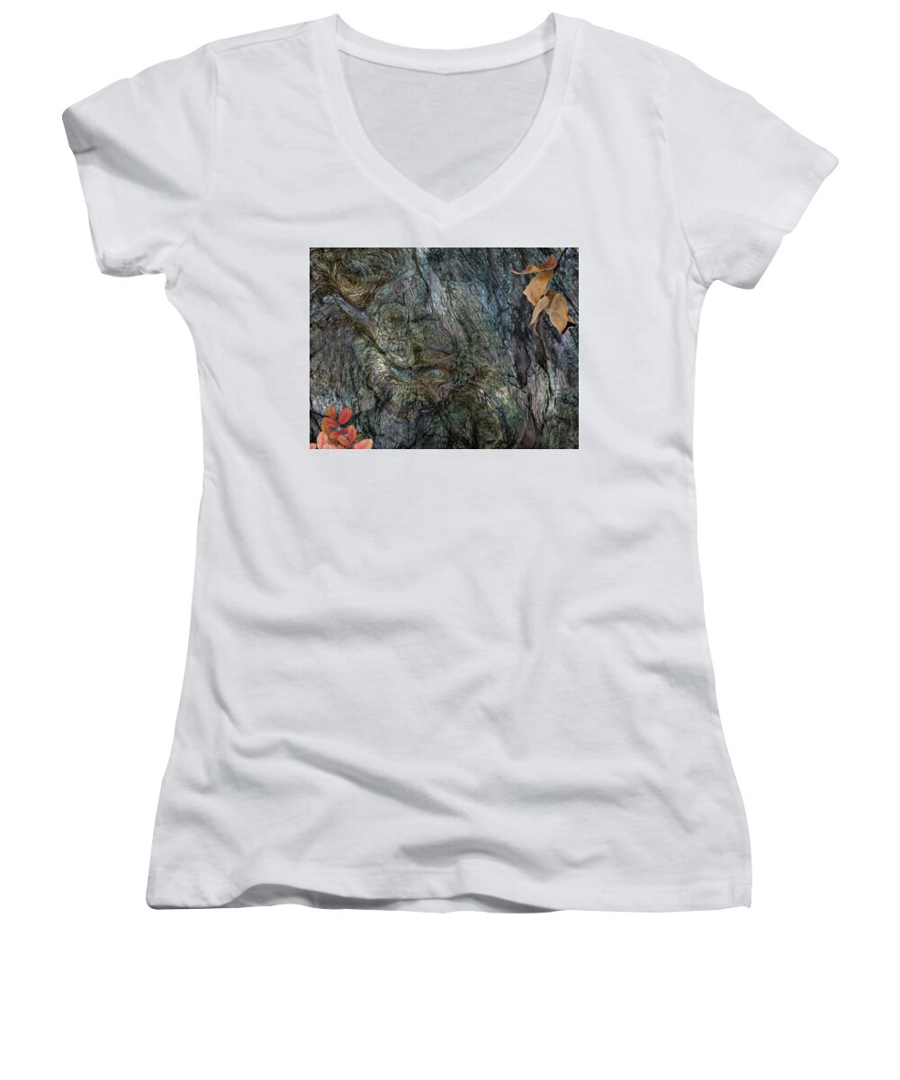 Trees Women's V-Neck featuring the photograph Tree Memories # 33 by Ed Hall