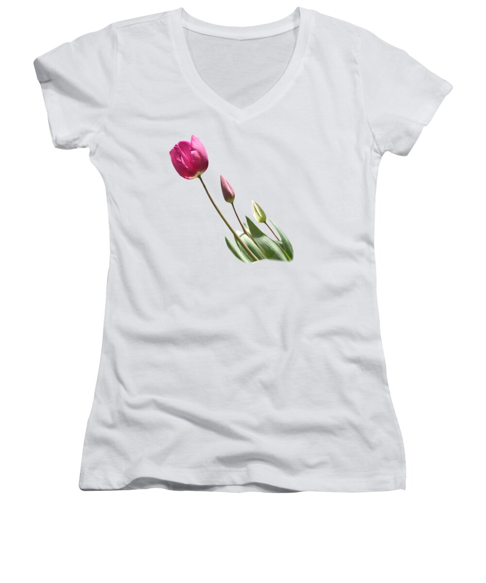 T-shirt Women's V-Neck featuring the photograph Tulips on Transparent background by Terri Waters