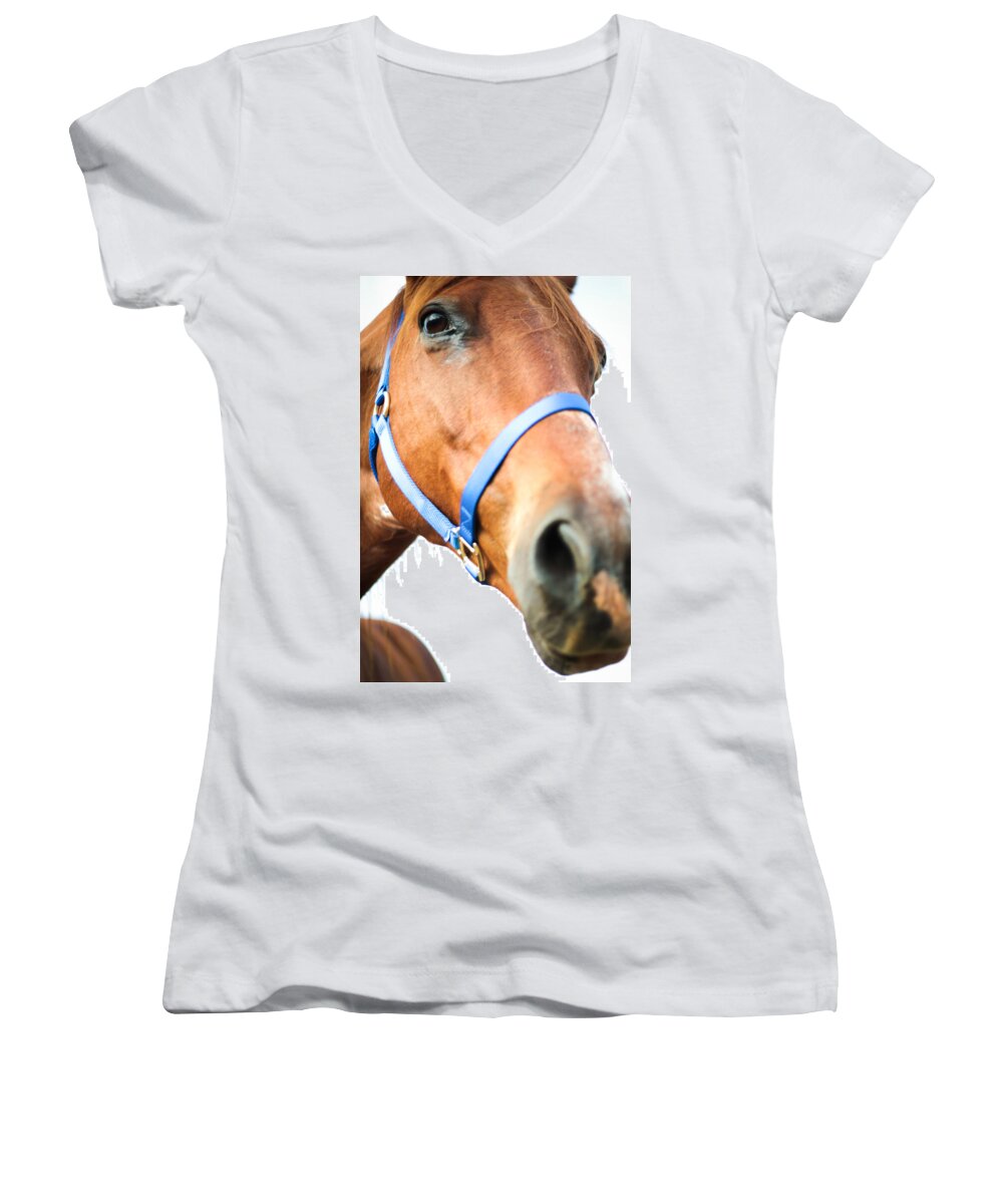 Kelly Hazel Women's V-Neck featuring the photograph Very Close Up Photograph of a Horse by Kelly Hazel