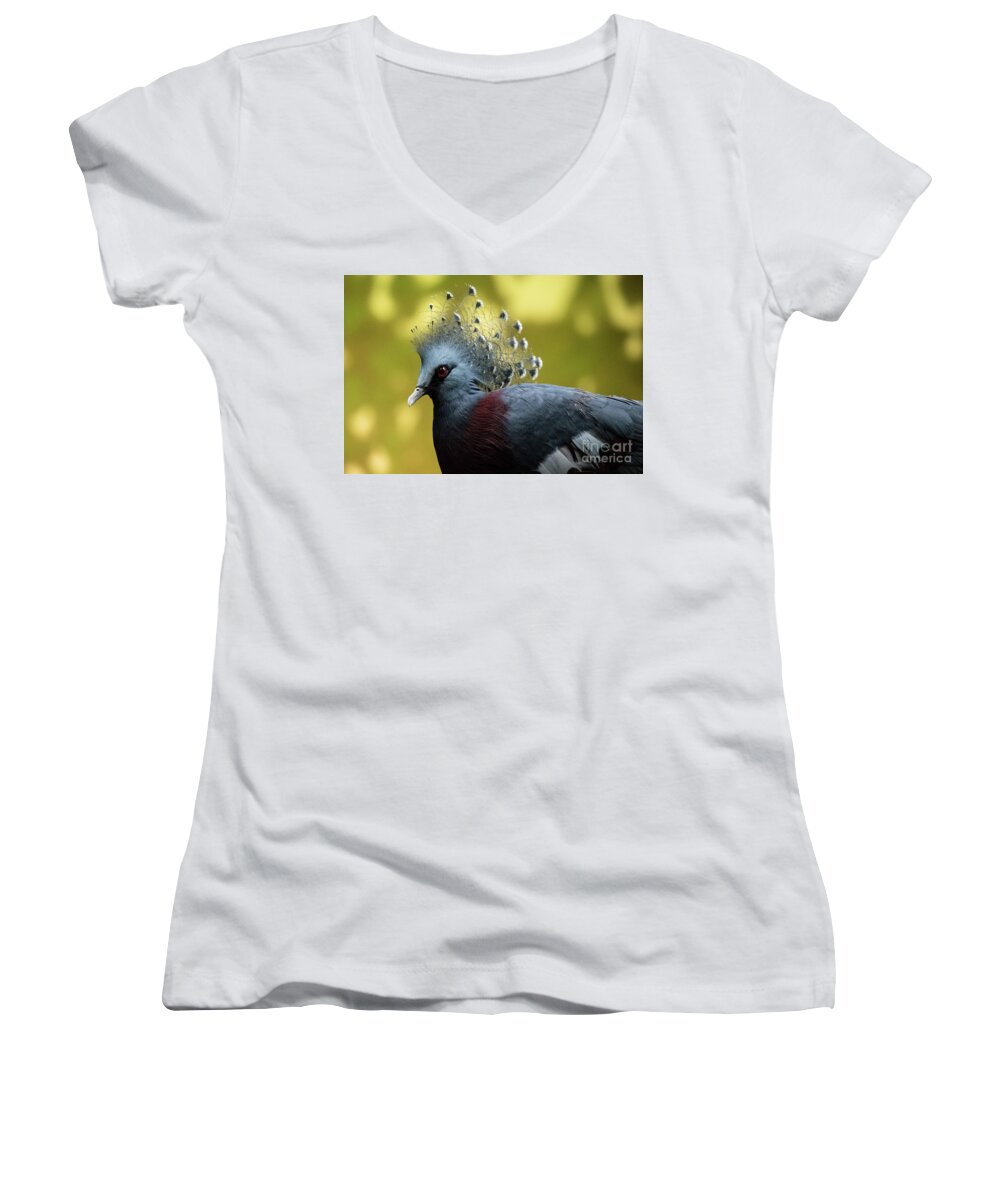 Bird Women's V-Neck featuring the photograph Victoria Crowned Pigeon by Ed Taylor