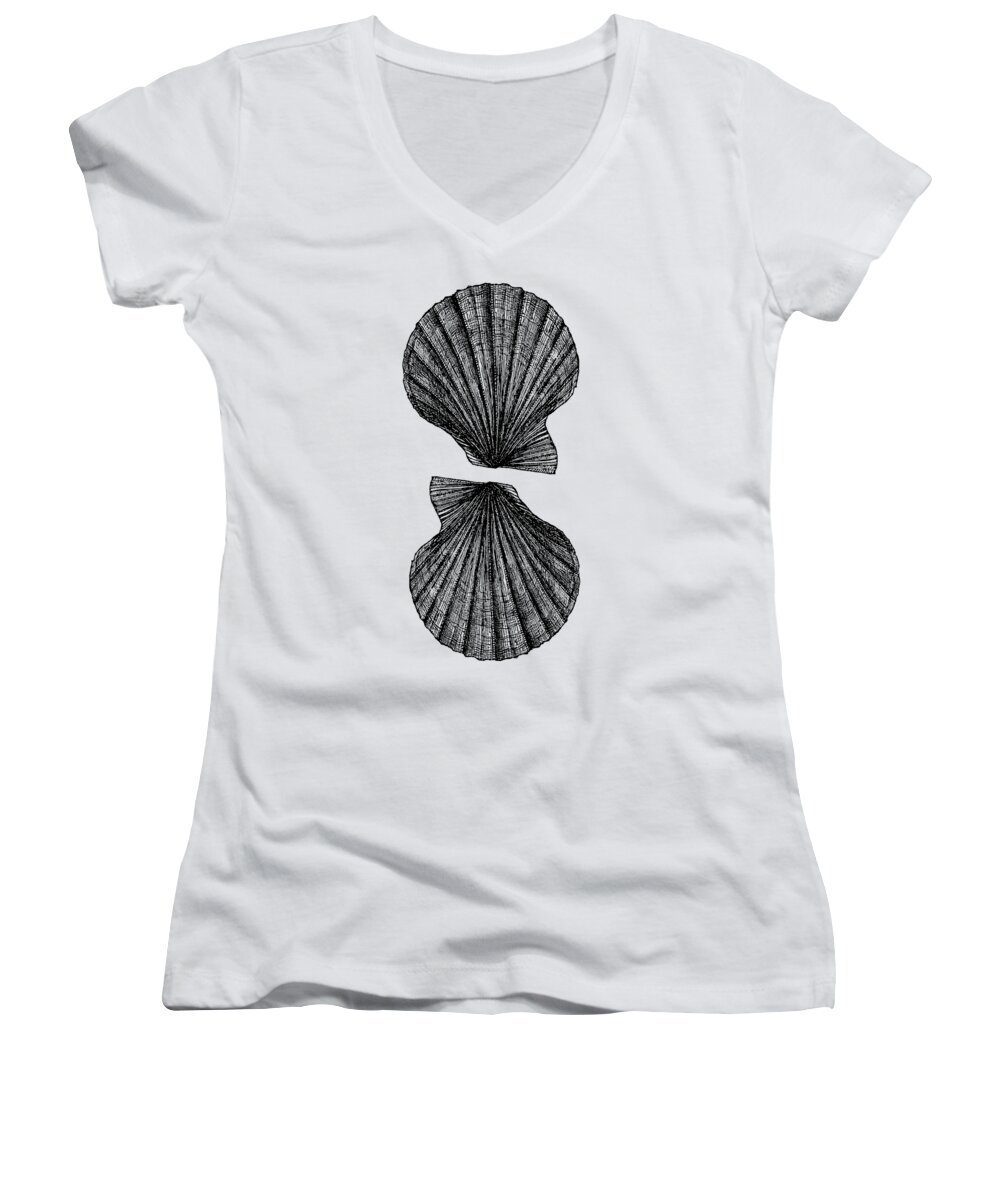 Vintage Women's V-Neck featuring the photograph Vintage Scallop Shells by Edward Fielding