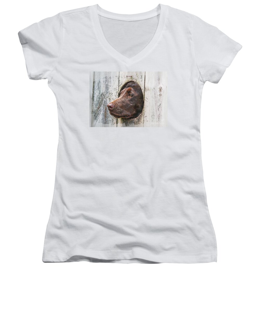 Dog Women's V-Neck featuring the photograph Waiting on Master by Robert Pearson