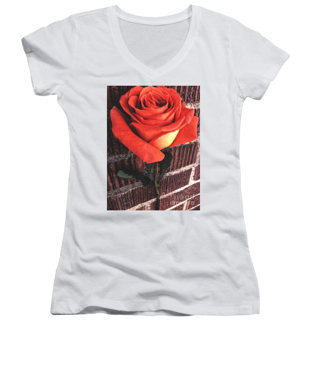 Rose Women's V-Neck featuring the photograph Wallflower by Charlie Cliques