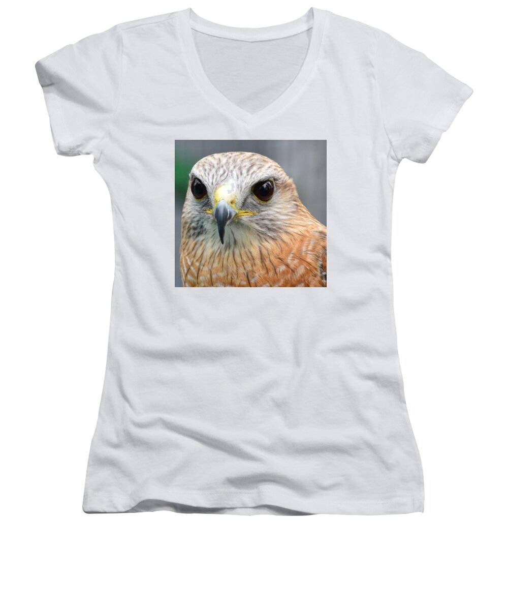 Falcons Women's V-Neck featuring the photograph Watching You by Charles HALL