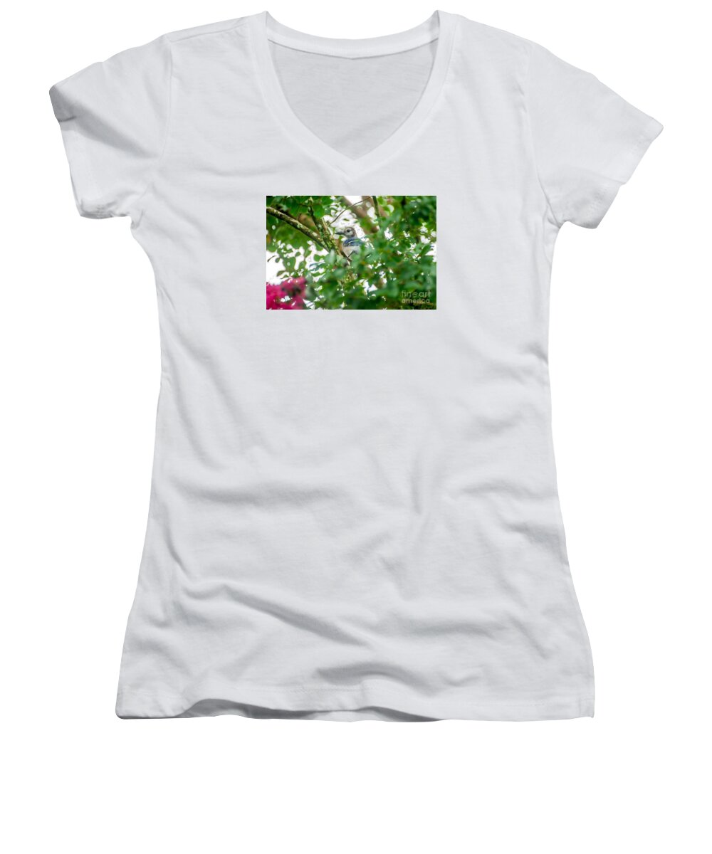 Blue Jay Women's V-Neck featuring the photograph Birds by Buddy Morrison
