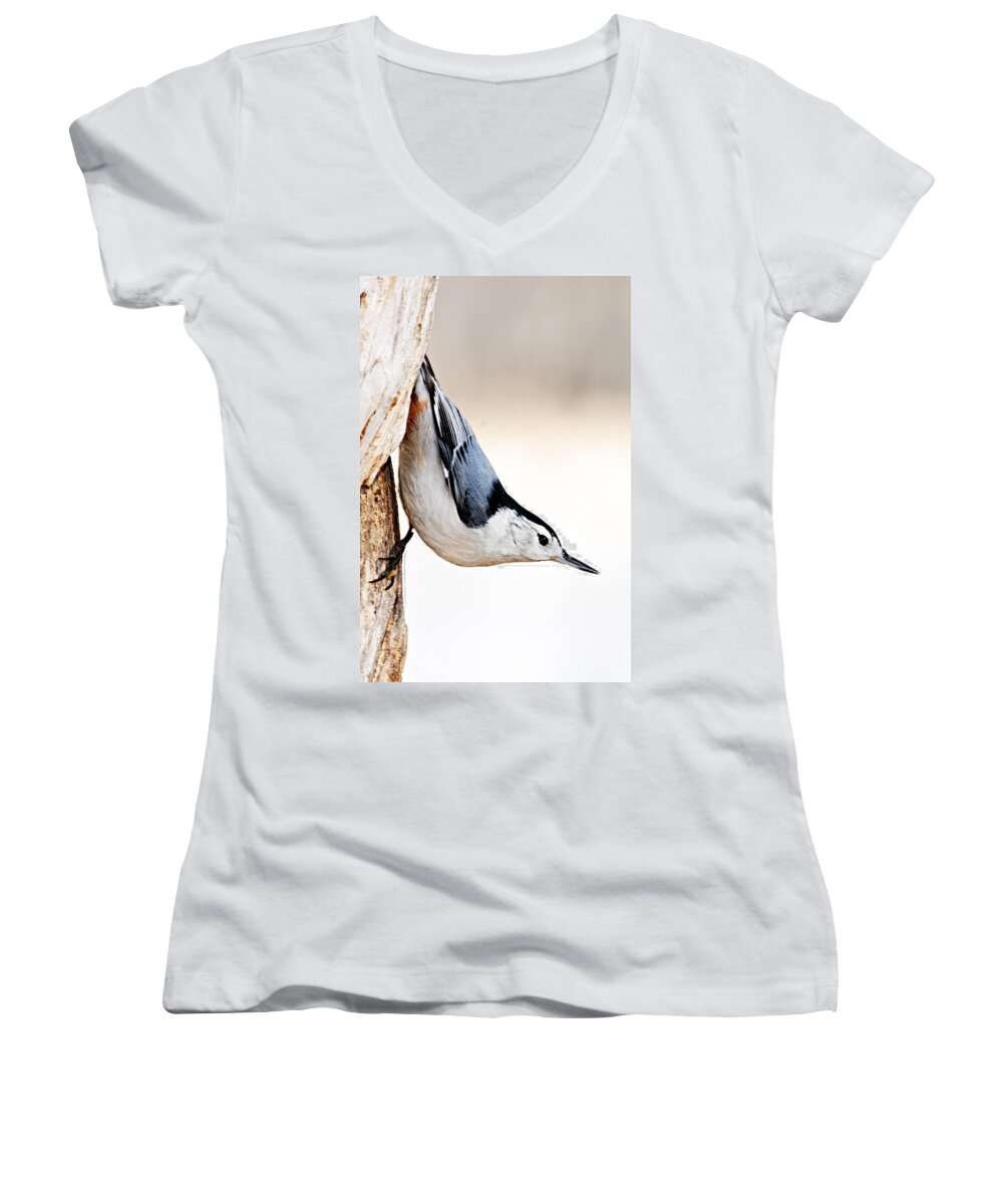 Photography Women's V-Neck featuring the photograph White-Breasted Nuthatch by Larry Ricker