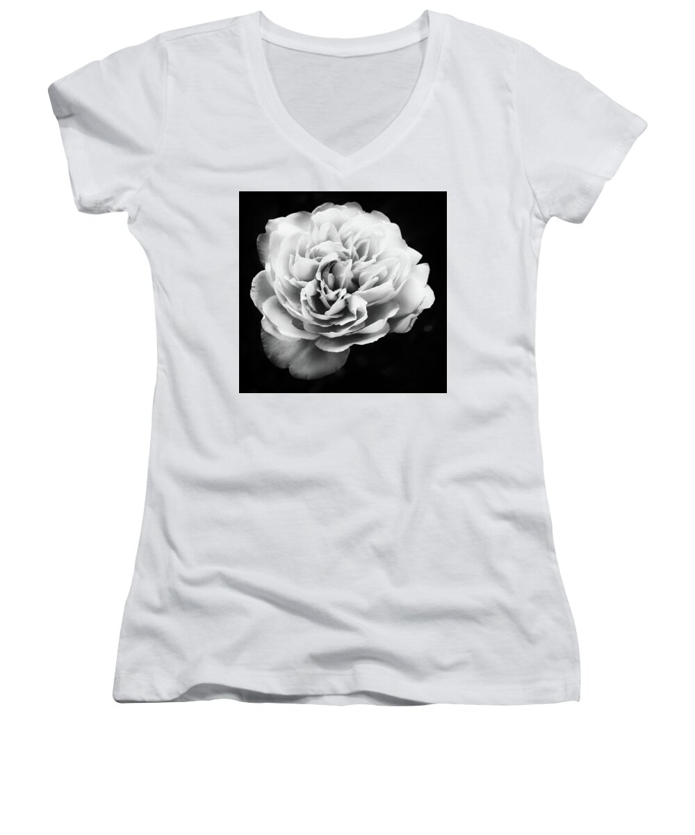 Rose Women's V-Neck featuring the photograph White Rose On Dark by Philip Openshaw
