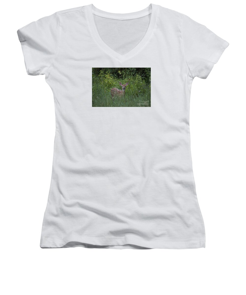 Whitetail Women's V-Neck featuring the photograph Whitetail Fawn 20120711_37a by Tina Hopkins